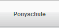 Ponyschule